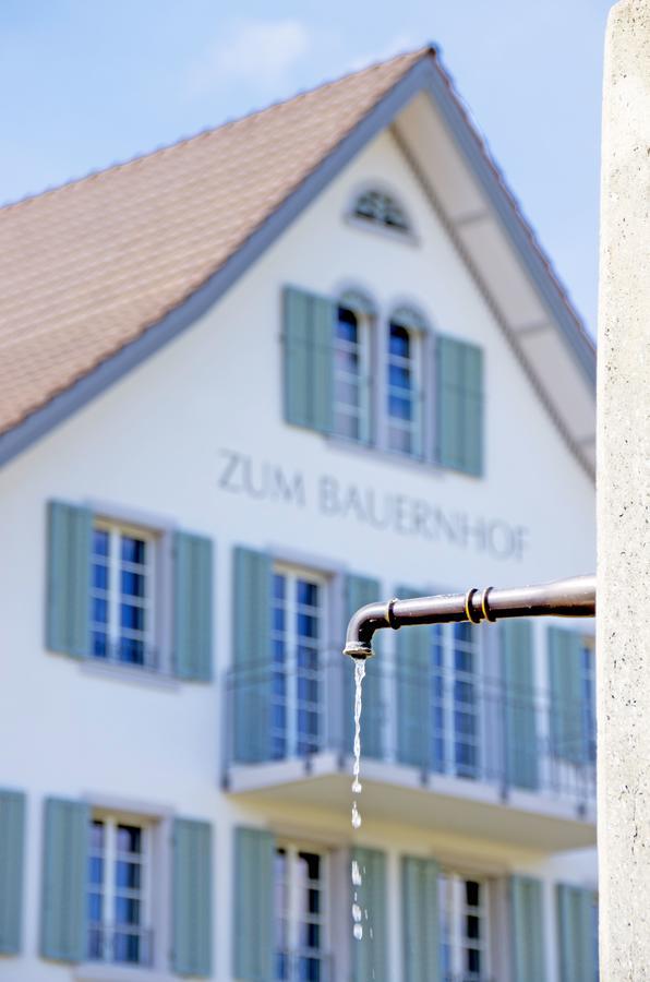 Gasthaus Zum Bauernhof Oberlunkhofen Exterior photo